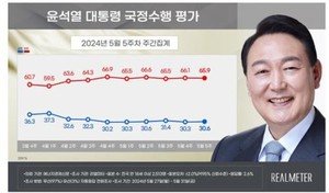 尹대통령 지지율 30.6% …국힘 33.1%,민주 33.8% < 정치 < 기사본문