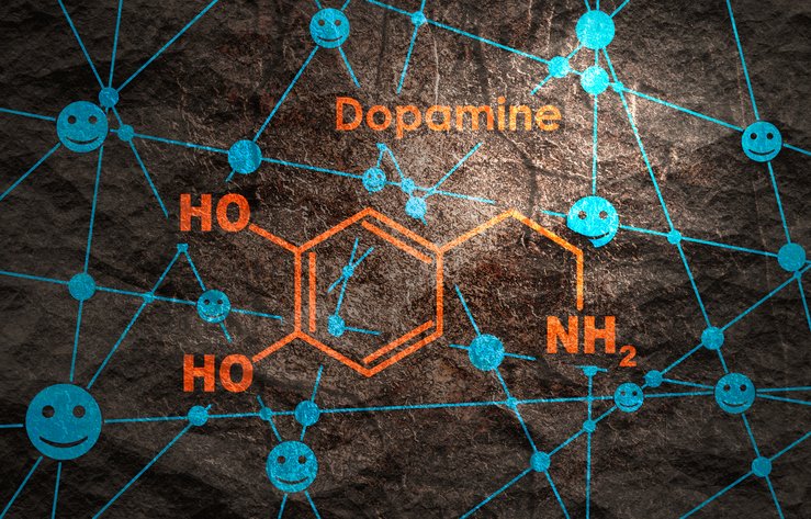 도파민은 행복 호르몬? “알고 보면 교육 호르몬”